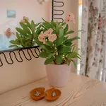 ヴィラ Mandalina, Cukurbag Peninsula-kas カシュ