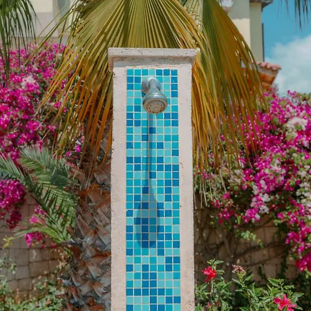 Mandalina * カシュ