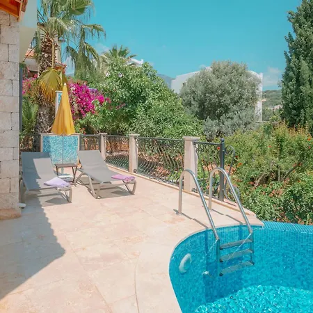 Mandalina * カシュ