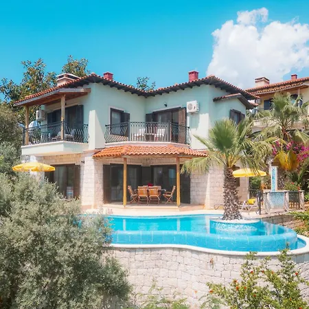 ヴィラ Mandalina *