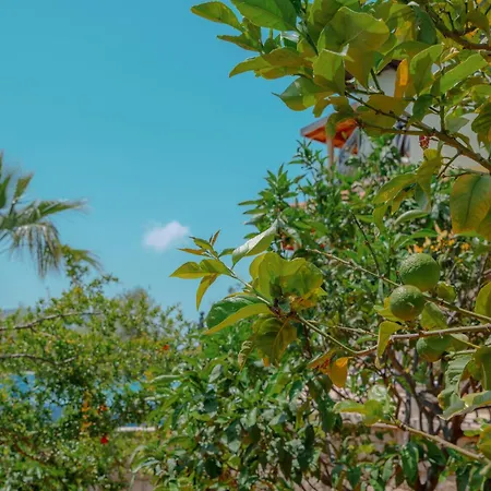 Mandalina, Cukurbag Peninsula-kas ヴィラ