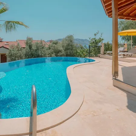 Mandalina * カシュ