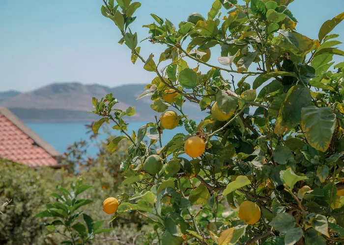 Mandalina וילה קס